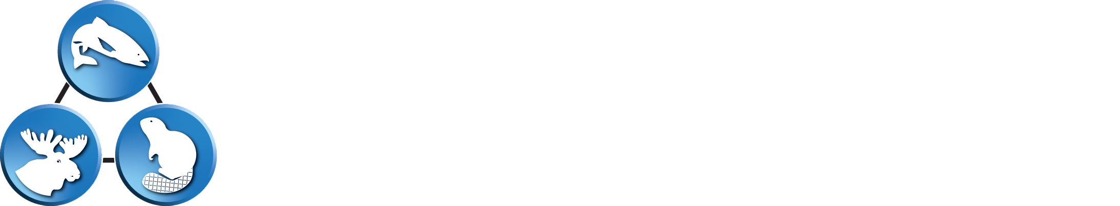 Choggiung Ltd 50 Year Anniversary Logo & Seal