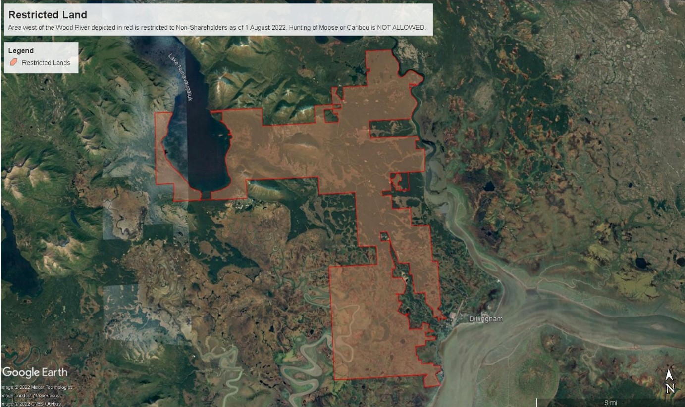 Restricted Land in Dillingham 